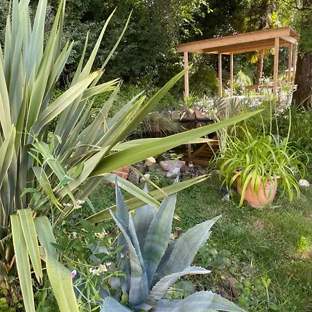 Les Agapanthes * Vaux-en-Beaujolais