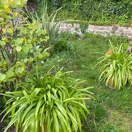 Les Agapanthes Bed & Breakfast