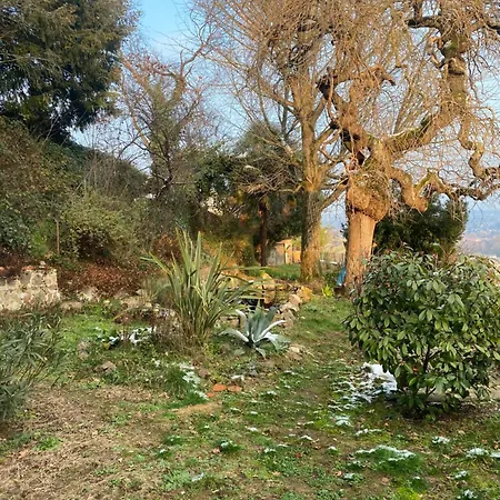 Les Agapanthes Bed & Breakfast Vaux-en-Beaujolais